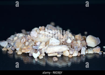 Grünkern ist das Korn der Dinkel, das geerntet wird semi-reif und dann künstlich getrocknet Stockfoto