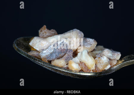 Grünkern ist das Korn der Dinkel, das geerntet wird semi-reif und dann künstlich getrocknet Stockfoto