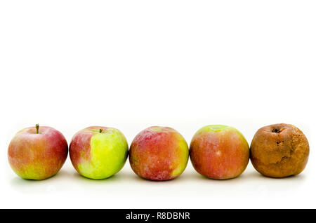 Faulen Apfel mit viel Frische Äpfel Stockfoto