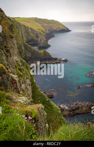 Old Head Lighthouse, Kinsale, Co Cork, Irland Stockfoto