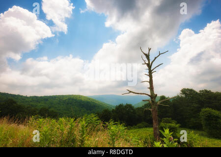 Der Shenandoah National Park, Virginia entlang der Blue Ridge Mountains im Südosten der Vereinigten Staaten. Stockfoto