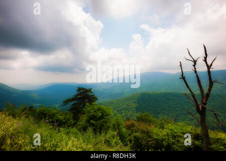 Der Shenandoah National Park, Virginia entlang der Blue Ridge Mountains im Südosten der Vereinigten Staaten. Stockfoto