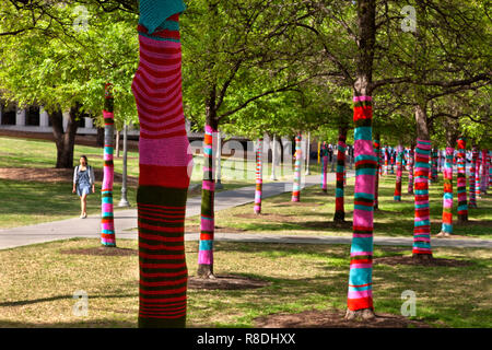 Stricken Sie bombardiert Bäume, Larry & Mary Ann Faulkner Plaza, Blanton Museum für Kunst, Universität von Texas Campus, Stockfoto