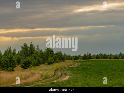 Sommer Landschaft mit einer Straße, die durch das Feld und Wiese. Stockfoto
