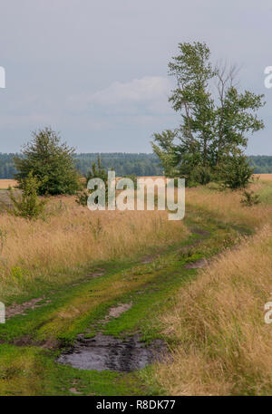 Straße in der Mitte des Feldes, Track, Pfütze, Schlamm Stockfoto