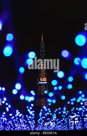 Weihnachtsbeleuchtung in Odori Park im Winter Schnee Festival. Sapporo, Hokkaido, Japan. Stockfoto