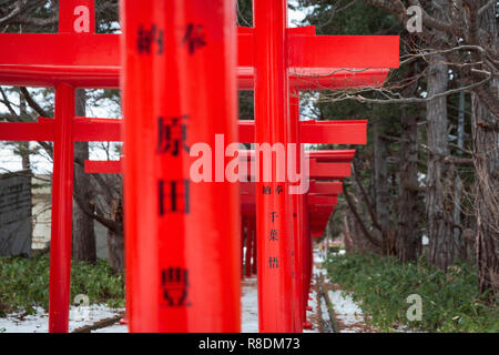 Der fushimi Inari Jinja Schrein in der Meiji Epoche gebaut mit 27 torii Tore. Sapporo, Hokkaido, Japan. Stockfoto