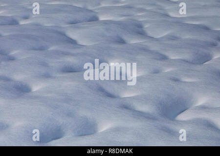Tief genoppte Schnee Wintersturm Diego. Stockfoto