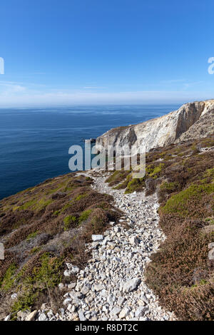 Cap de la Chevre auf der Halbinsel Crozon (Finistère, Frankreich) Stockfoto