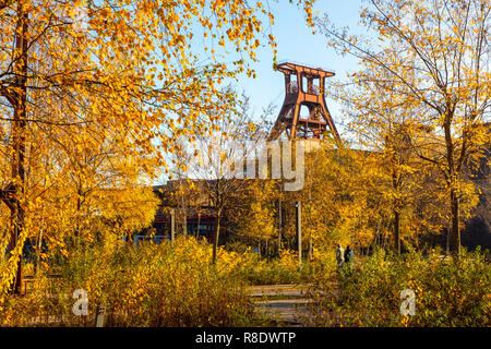 Der Zollverein Park, ehemalige Gleisanlagen, auf der Zeche Zollverein in Essen, Doppelbock Fördergerüst von Schacht XII, Stockfoto