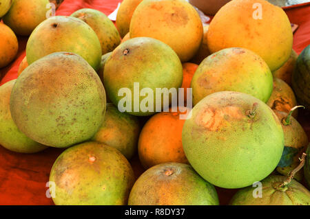 Organische pomelo oder thailändische Pampelmuse zum Verkauf an Markt-/Reif von pomelo Früchte aus dem Garten geerntet Stockfoto