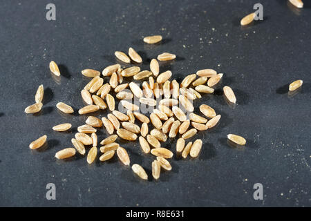 Grünkern ist das Korn der Dinkel, das geerntet wird semi-reif und dann künstlich getrocknet Stockfoto