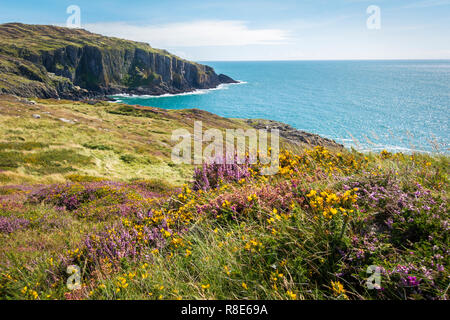 Zu Fuß zum weißen Leuchtturm in der Nähe von Baltimore, West Cork, Irland Stockfoto