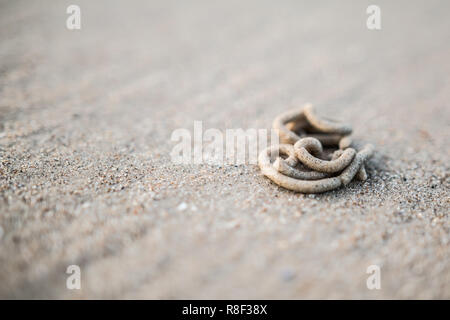 Nahaufnahme eines Wattwurm cast in den Sand am Strand Stockfoto