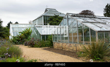 Alte Gewächshaus im Botanischen Garten in Cambridge Großbritannien Stockfoto