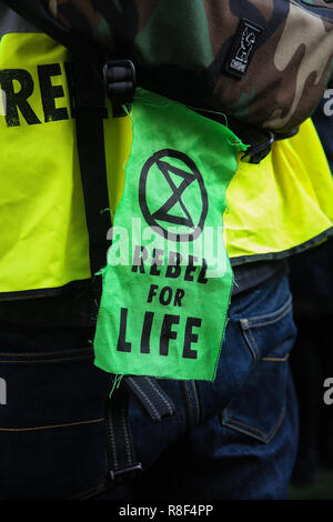 Aussterben Rebellion gegen den Klimawandel in Parliament Square demonstrieren, blockieren Straßen und Verriegelung auf Stockfoto