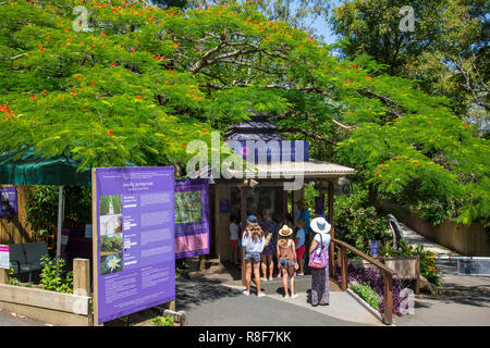 Crystal Castle und Shambhala heilige Gärten in der Nähe von Byron Bay, New South Wales, Australien Stockfoto