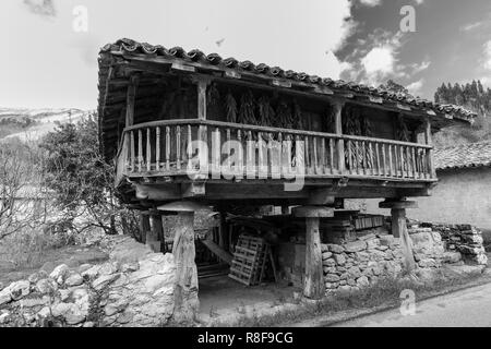 Horreo asturiano. Asturische Scheune. Populäre Architektur in Riocaliente. Asturien. Spanien. Stockfoto