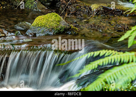 Lange Belichtung von Wasser über bemoosten Felsen in Washington. Stockfoto