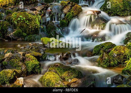 August Fluss über Steine mit Moos wächst Stockfoto