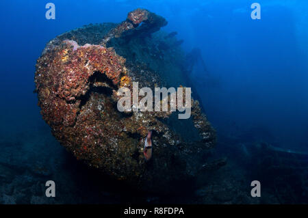 Tauchen auf der Taliarte Wrack in Boa Vista - Cabo Verde Stockfoto