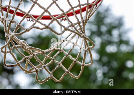 Wald mit roten Basketballkorb an bewölkten Tag Stockfoto