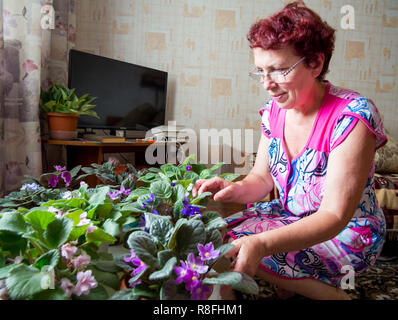 Voronezh, Russland - 24. Juni 2018: Frau interessieren für Blumen im Zimmer Stockfoto