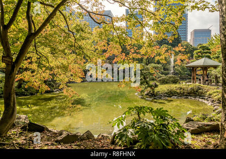 Kranbrunnen im Shinkei-Teich, Hibiya-Park (Hibiyakoen), Chiyoda-ku im Herbst, Tokio, Japan Stockfoto