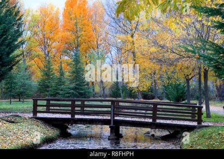 Aguilar de Campoo. Flusspark Preuerga. Palencia, Castilla y Leon. Spanien Stockfoto