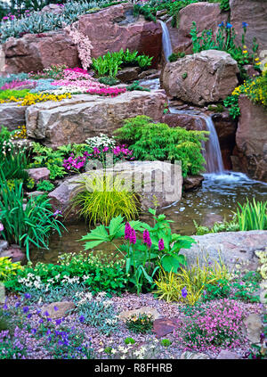 Bunte alpine Steingarten und Wasserfall für ein Land, Garten Stockfoto