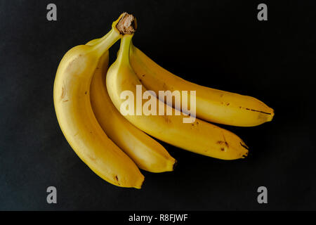 Bündel gelbe Bananen auf schwarzen Hintergrund. Frisch und gesund. Flache Tiefenschärfe, Fokus auf der Vorderseite Banane. Stockfoto