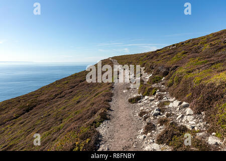 Küste des Cap de la Chevre auf der Halbinsel Crozon (Finistère, Frankreich) Stockfoto