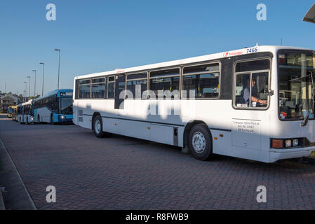 Busse aufgereiht auf der Westseite von Hornsby Station bereit zu sammeln und Transport pendeln Leute vom Bahnhof zur Umgebung Stockfoto