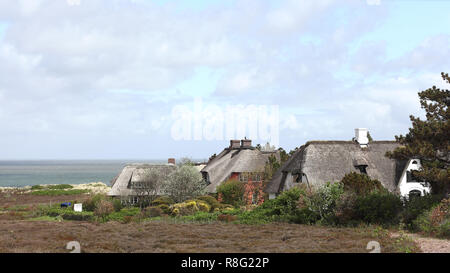 Reetgedeckte Häuser in der Braderuper Heide auf der Insel Sylt Stockfoto