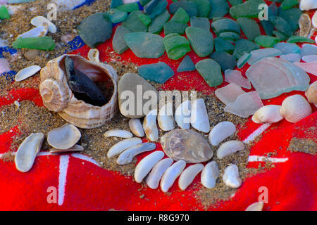 Muscheln - eine Vielzahl von Muscheln vom Strand. Muscheln, Meer farbigen Steine auf einem roten Handtuch auf den Sand. Sommer Strand Hintergrund. Blick von oben. Stockfoto