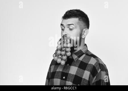 Mann hält Tomaten Beeren als Bart auf weißem Hintergrund. Landwirt mit interessierten Gesicht hält Bündel von Cherry Tomaten in den Mund. Landwirtschaft und Garten Konzept. Kerl zeigt seine Ernte. Stockfoto