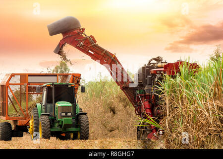 Chaiyaphum, Thailand - 9. Dezember: Arbeiten Zuckerrohr Schneidemaschine mit Sonnenuntergang am Dezember 9, 2018 in Chaiyaphum, Thailand Stockfoto