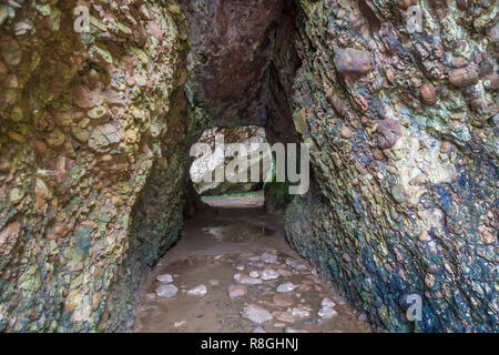 Cushendun Höhlen, Ballymena, County Antrim, Nordirland Stockfoto