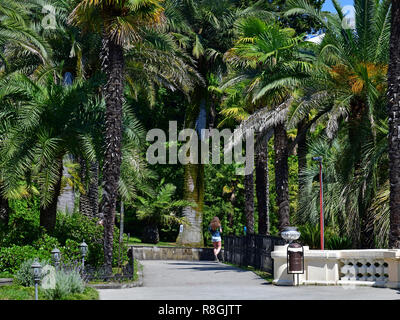 Sochi, Russland - Juni 5. 2018. Arboretum - einzigartige Sammlung von subtropischen Flora und Fauna Stockfoto