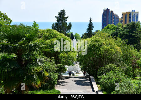 Sochi, Russland - Juni 5. 2018. Zentrale Gasse in Park Arboretum Stockfoto