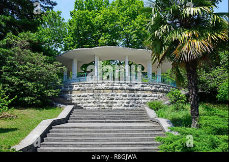 Sochi, Russland - Juni 5. 2018. Zentrale Gasse in Park Arboretum Stockfoto