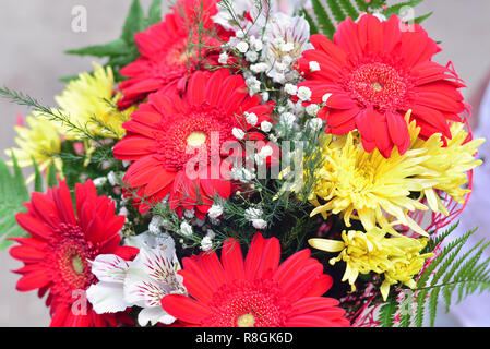 Blumenstrauß aus Chrysanthemen gerbera Gelb, Rot Stockfoto