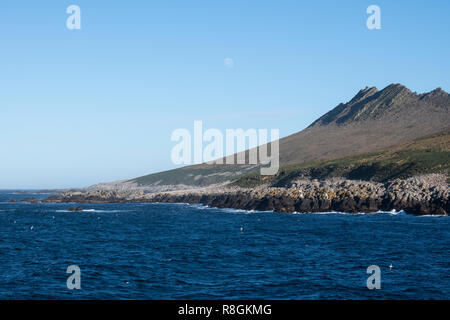 Vereinigtes Königreich, Falkland Inseln, West Falkland Inseln, Kirchturm, Jason Jason. Ocean View der größten schwarzen der tiefsten Albatross Kolonie in der Falklan Stockfoto