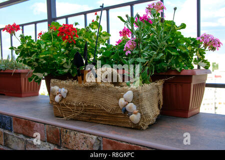 Schöne, ursprünglich Balkon eingerichtet, mit hausgemachten handgefertigte Blumentöpfe. Voller Blumen, Töpfe, andere Verzierung. Pink, Grün, Weiß. Design Beispiel Stockfoto