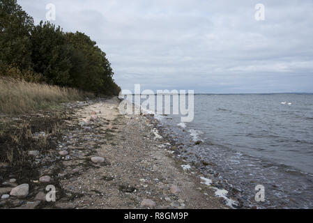 Kies Strand an der Ostküste der Halbinsel Zudar, die den südlichsten Punkt der Insel Rügen. Stockfoto