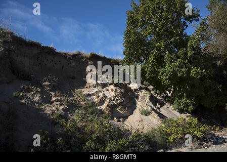 Kies Strand an der Ostküste der Halbinsel Zudar, die den südlichsten Punkt der Insel Rügen. Stockfoto