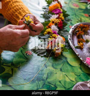 Die Hände eines jungen Devotee, der eine Blume Halskette zu ihren Gurur anbieten zu errichten. Zwischen den Blumen gibt es grüne Blätter als Schönheit Stockfoto