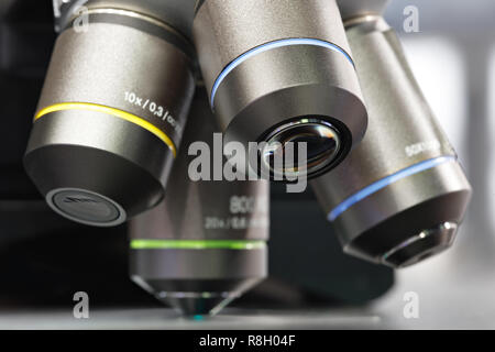 Nahaufnahme von der Prüfung der Probe unter dem Mikroskop im Labor. Stockfoto