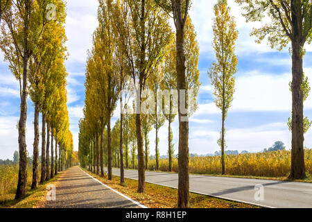 Insel Reichenau, Deutschland Stockfoto