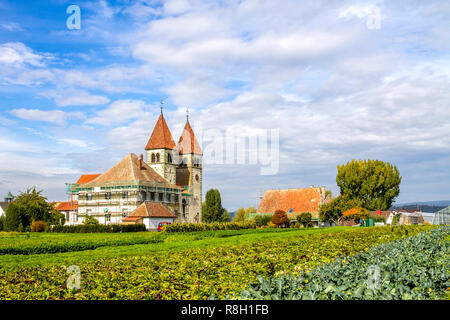 Insel Reichenau, Deutschland Stockfoto